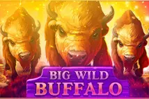Big Wild Buffalo